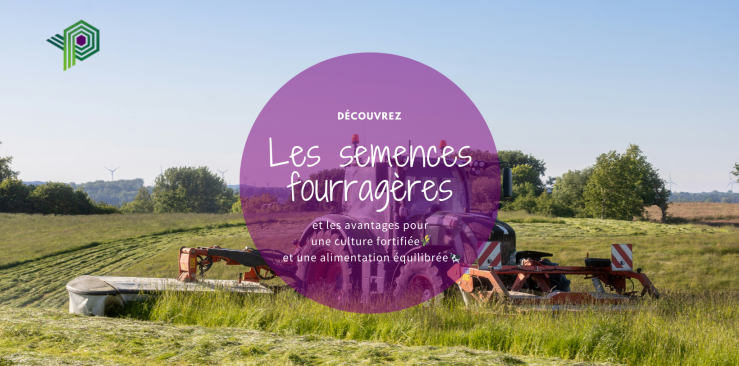 L'importance des semences fourragères en culture